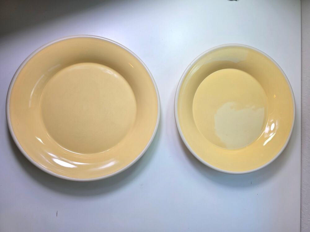 Set of 2 SONOMA Life + Style 11 3/4" Dinner Plate Heavy Mendocino Butter